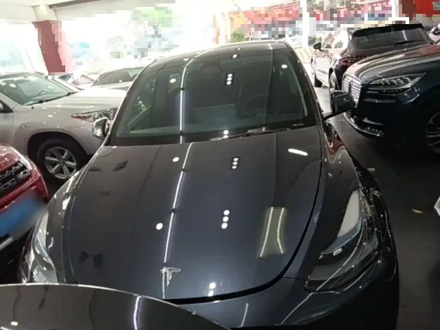 Tesla Model Y — Фото автомобиля 2