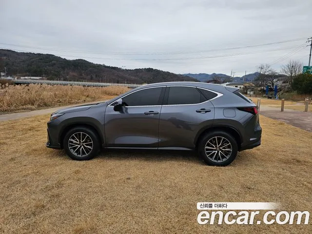 Lexus NX — Фото автомобиля 4