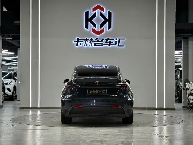 Tesla Model Y — Фото автомобиля 8