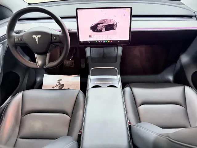 Tesla Model Y — Фото автомобиля 9
