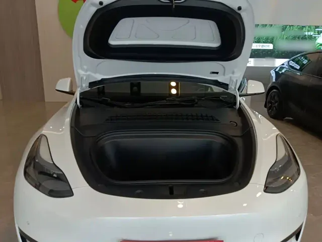 Tesla Model Y — Фото автомобиля 19