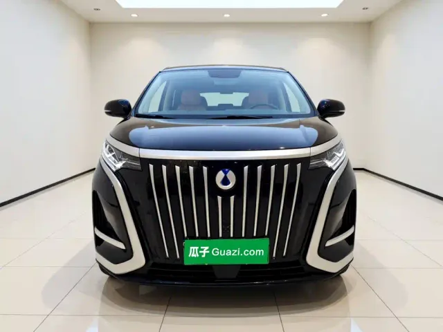 Denza D9 — Фото автомобиля 2