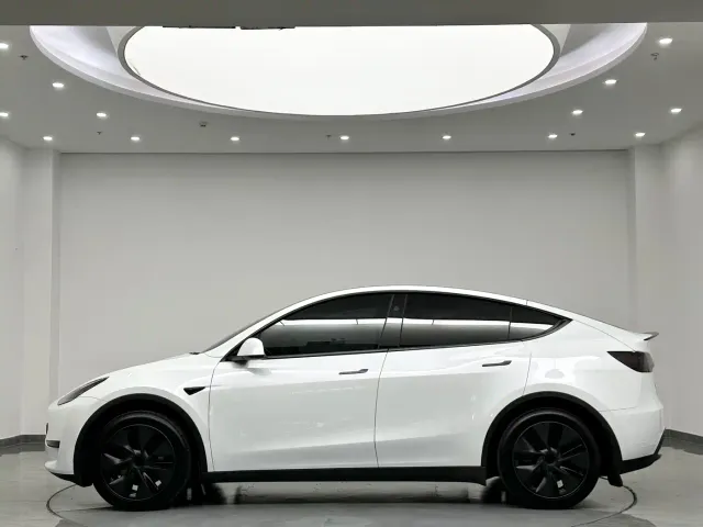 Tesla Model Y — Фото автомобиля 6