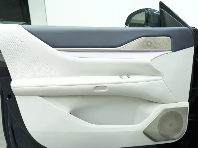 Buick Electra L7 — Фото автомобиля 10