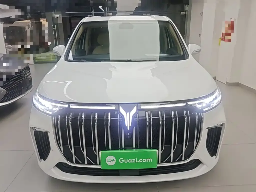 Voyah Auto Voyah Dreamer 2022 Low Carbon Edition Home — Фото автомобиля 2