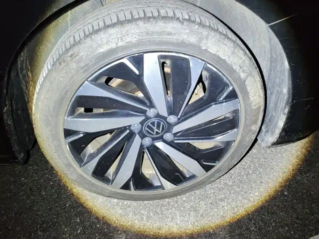 Volkswagen Passat — Фото автомобиля 6