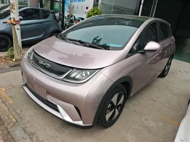 Фотография автомобиля — BYD Dolphin