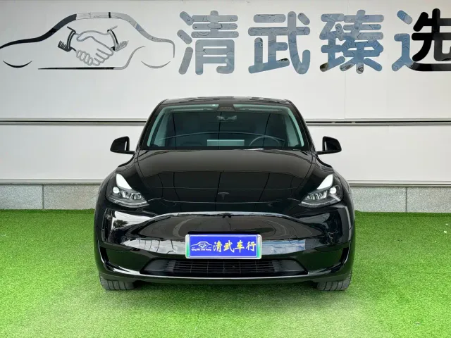Tesla Model Y — Фото автомобиля 2