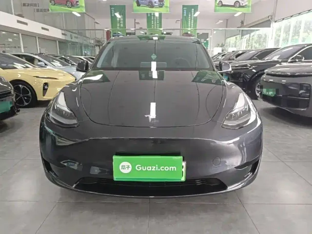 Tesla Model Y — Фото автомобиля 2