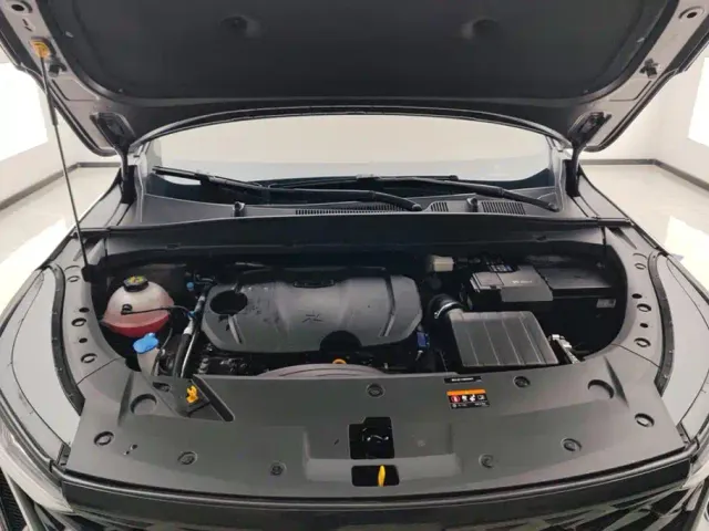Geely Boyue — Фото автомобиля 10