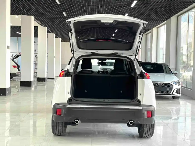 Peugeot 2008 — Фото автомобиля 16
