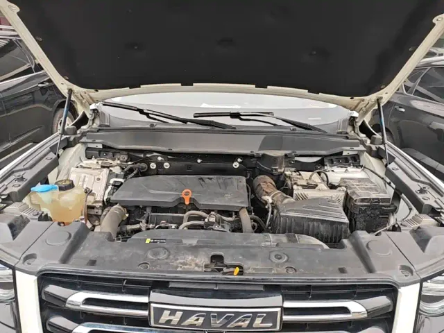 Haval Big Dog — Фото автомобиля 19