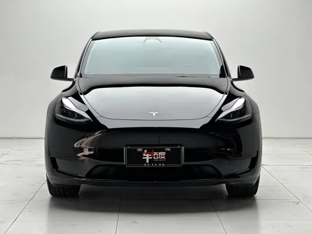 Tesla Model Y — Фото автомобиля 2