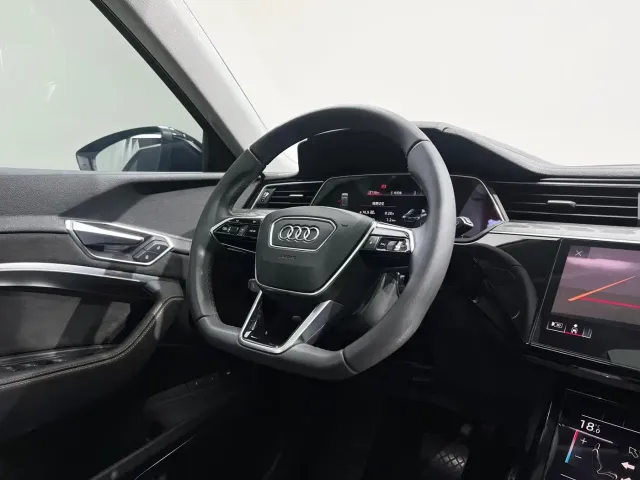 Audi e-tron — Фото автомобиля 12