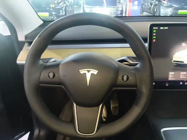 Tesla Model Y — Фото автомобиля 10