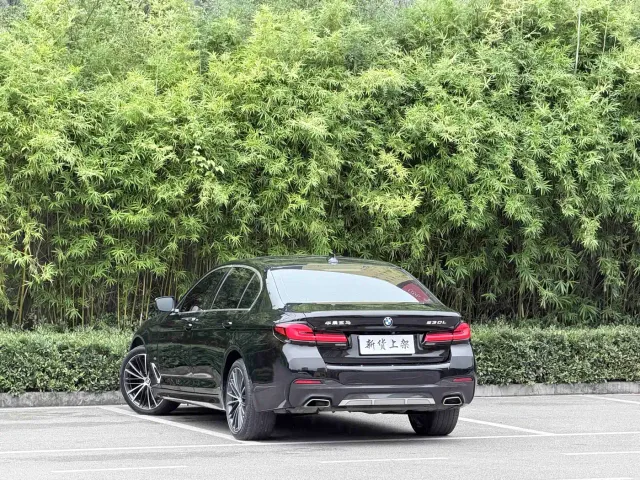 BMW 5 Series — Фото автомобиля 8