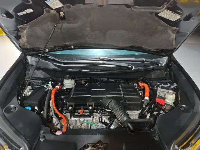 Honda Odyssey — Фото автомобиля 19