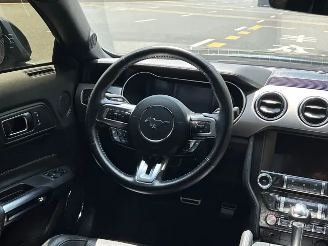 Ford Mustang — Фото автомобиля 12