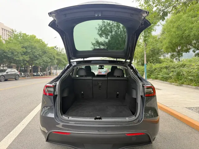 Tesla Model Y — Фото автомобиля 14
