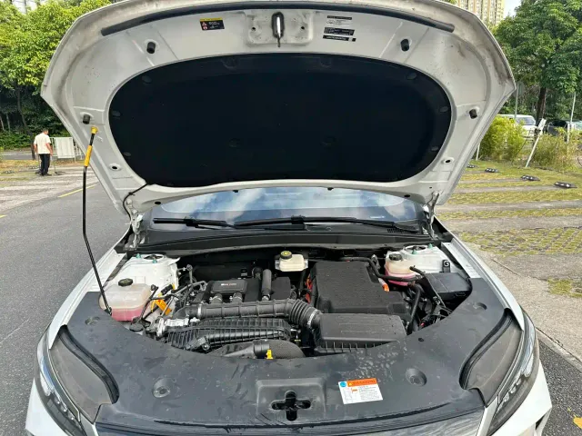 BYD Qin PLUS — Фото автомобиля 12