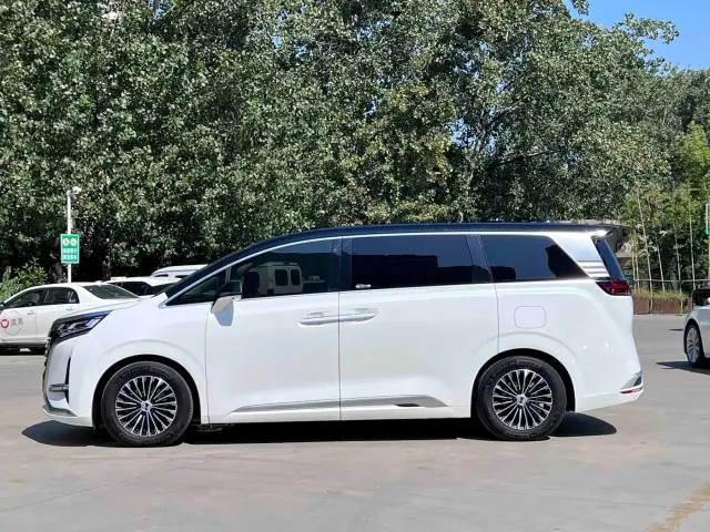 Denza Denza D9 2022 DM-i 1040 Premium — Фото автомобиля 17