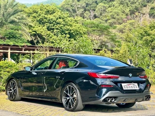 BMW 8 Series — Фото автомобиля 13