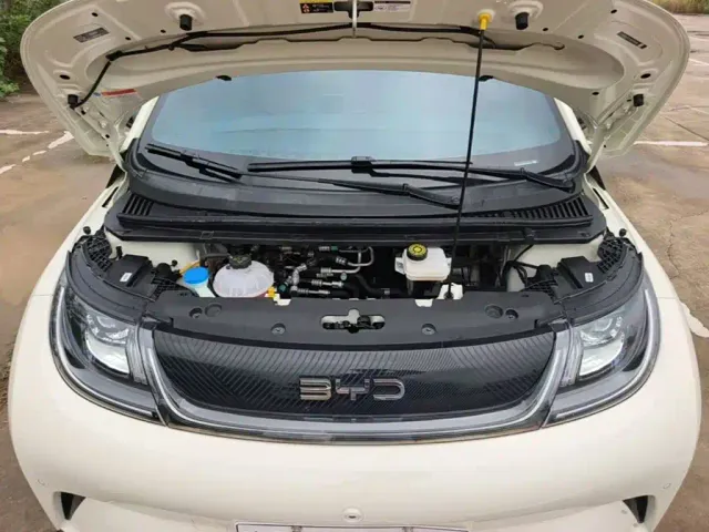 BYD Dolphin — Фото автомобиля 19