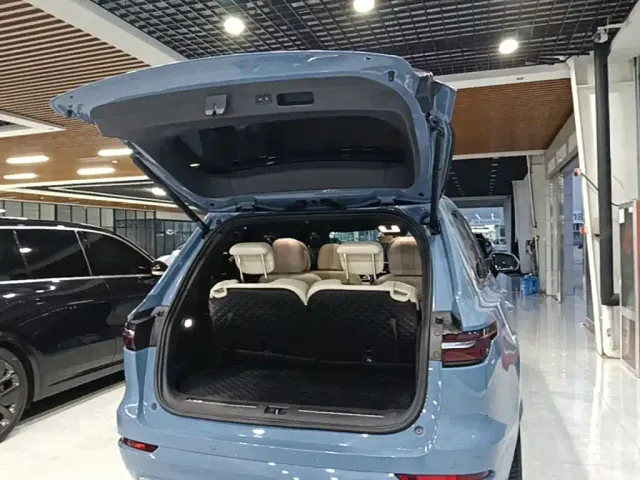 Li Auto ONE — Фото автомобиля 18