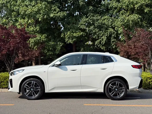 BMW X2 — Фото автомобиля 2