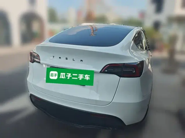Tesla Model Y — Фото автомобиля 6