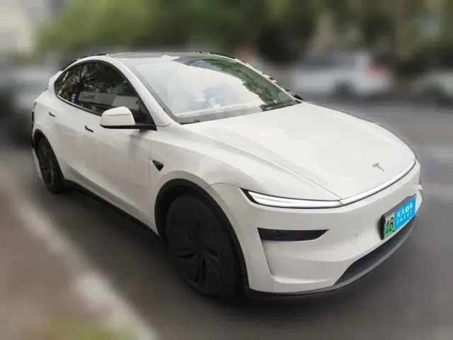 Tesla Model Y 2025 Model Rear-Wheel Drive Launch Edition — Фото автомобиля 3