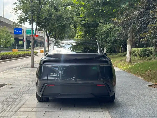 Tesla Model Y — Фото автомобиля 8