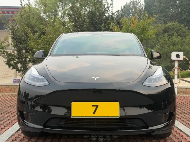Tesla Model Y — Фото автомобиля 2