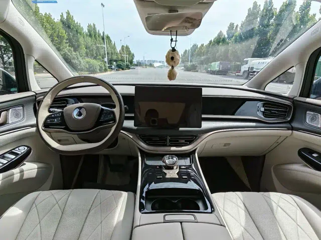 Denza D9 — Фото автомобиля 5