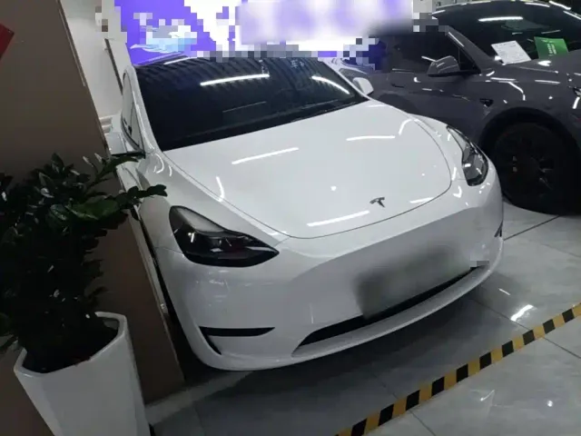 Tesla Model Y — Фото автомобиля 3