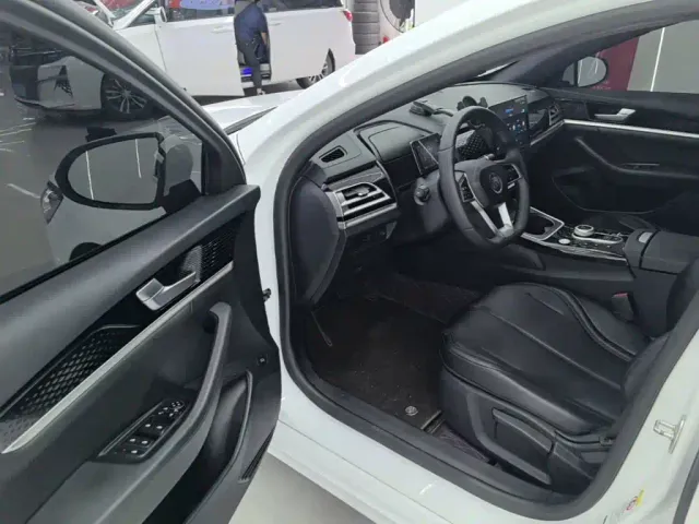 BYD Qin PLUS — Фото автомобиля 15