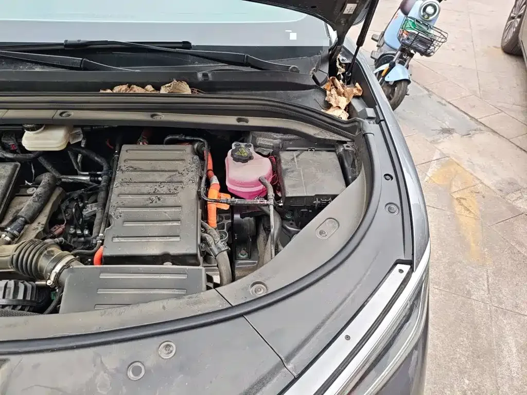 BYD Song L DM-i 2025 Smart Drive Edition 112km Surpassing — Фото автомобиля 20
