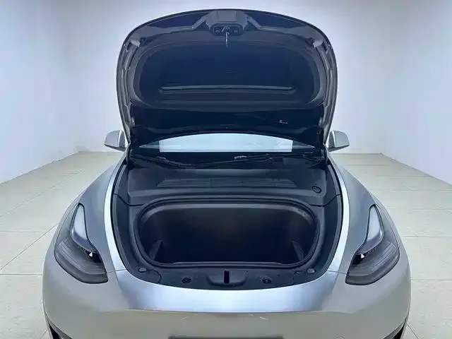 Tesla Model Y — Фото автомобиля 17