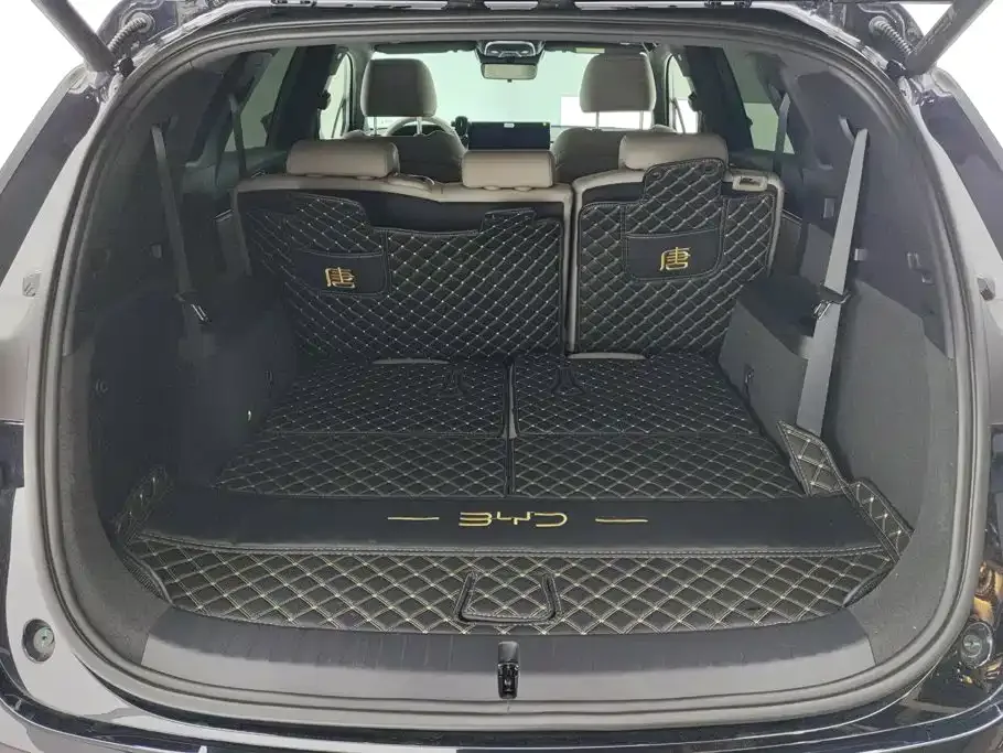 BYD Tang New Energy 2024 DM-i Honor Edition 112KM Premium — Фото автомобиля 4