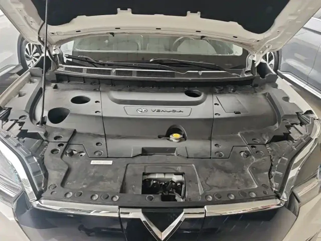 Venucia T60EV — Фото автомобиля 19