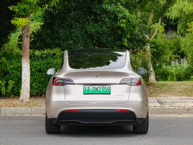 Tesla Model Y — Фото автомобиля 10