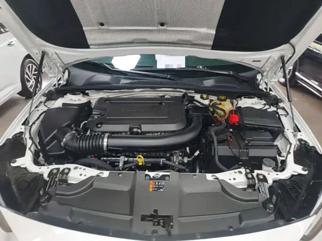 Buick Regal — Фото автомобиля 19