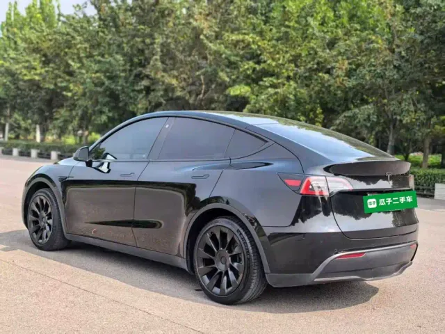 Tesla Model Y — Фото автомобиля 4