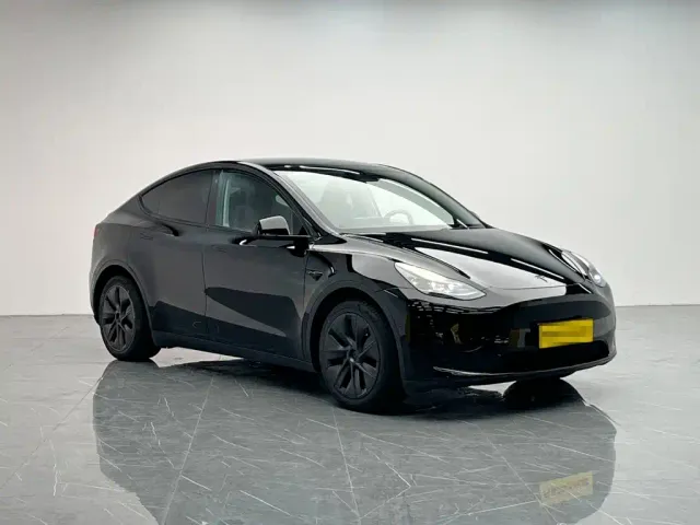 Tesla Model Y — Фото автомобиля 8