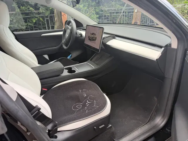 Tesla Model Y — Фото автомобиля 4