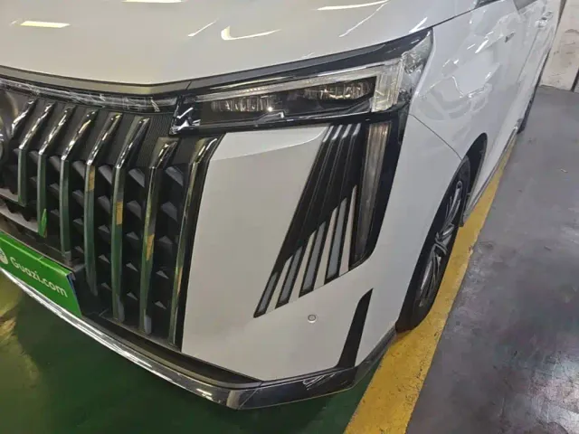 GAC Trumpchi M8 — Фото автомобиля 23