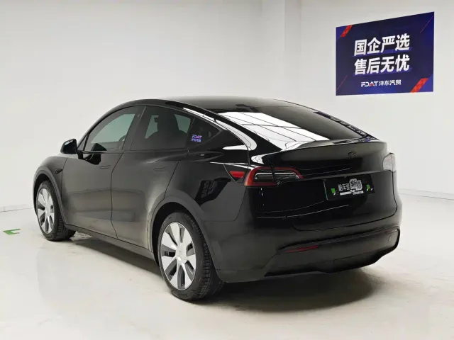 Tesla Model Y — Фото автомобиля 6