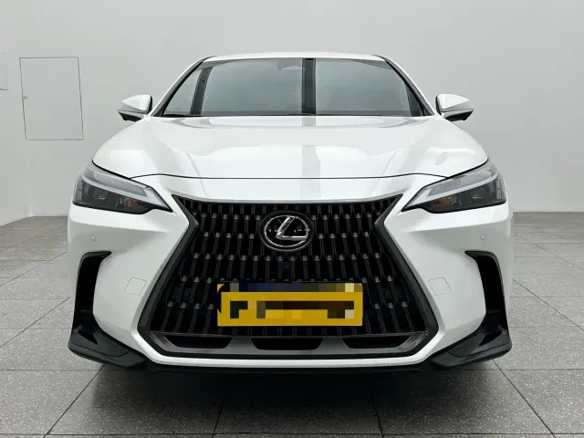 Lexus NX — Фото автомобиля 2