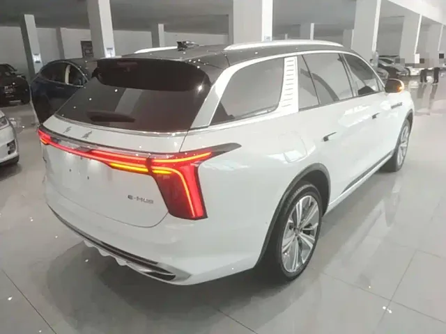 Hongqi E-HS9 — Фото автомобиля 6