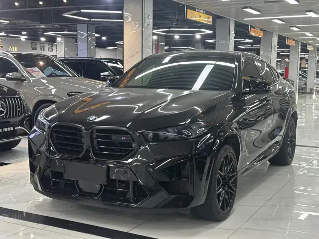Фотография автомобиля — BMW X6 M